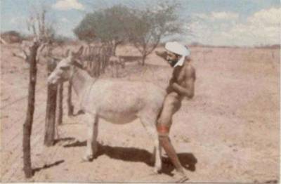 khayna mataymragch